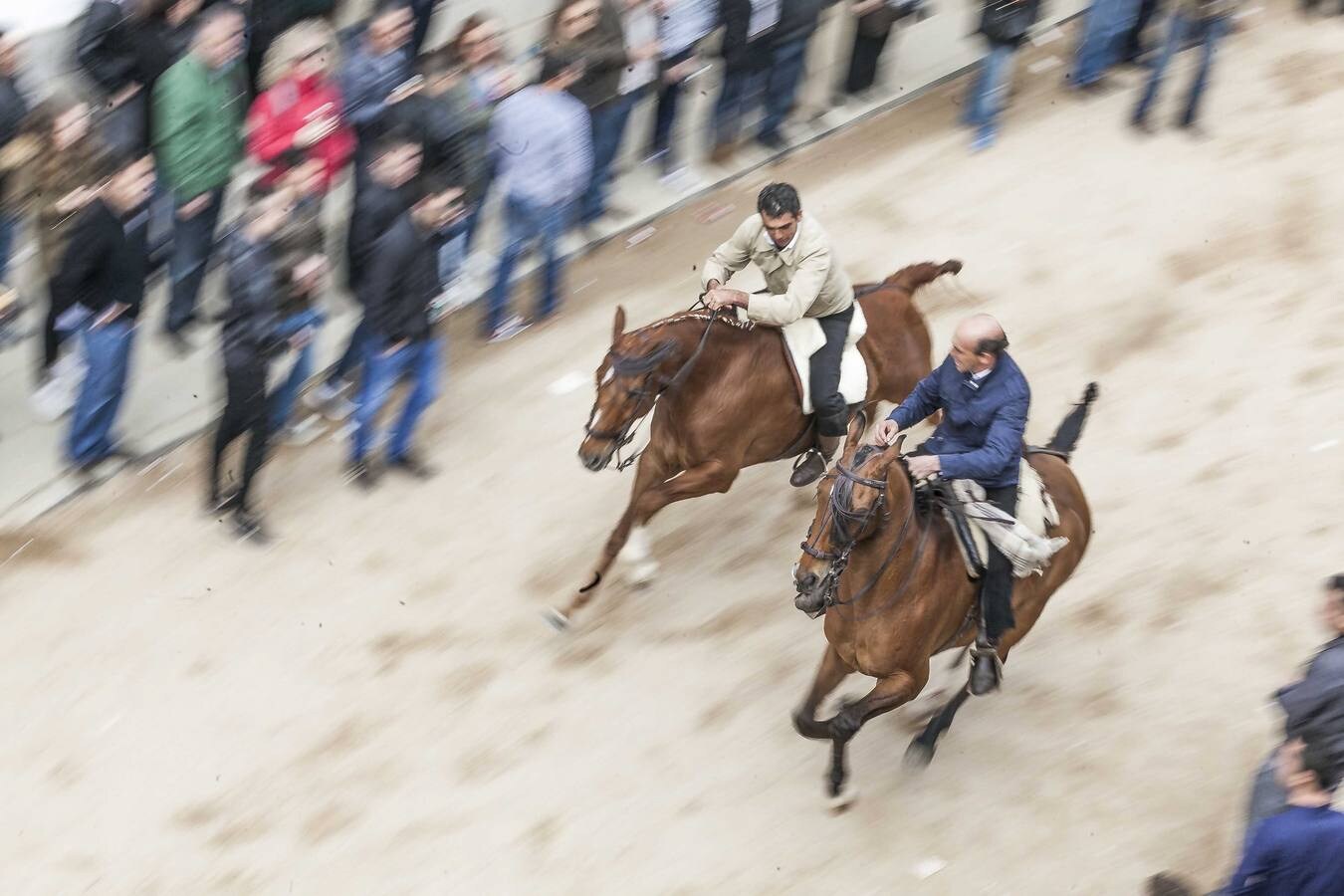 Arroyo de la Luz vibra un año más con sus carreras de caballos 