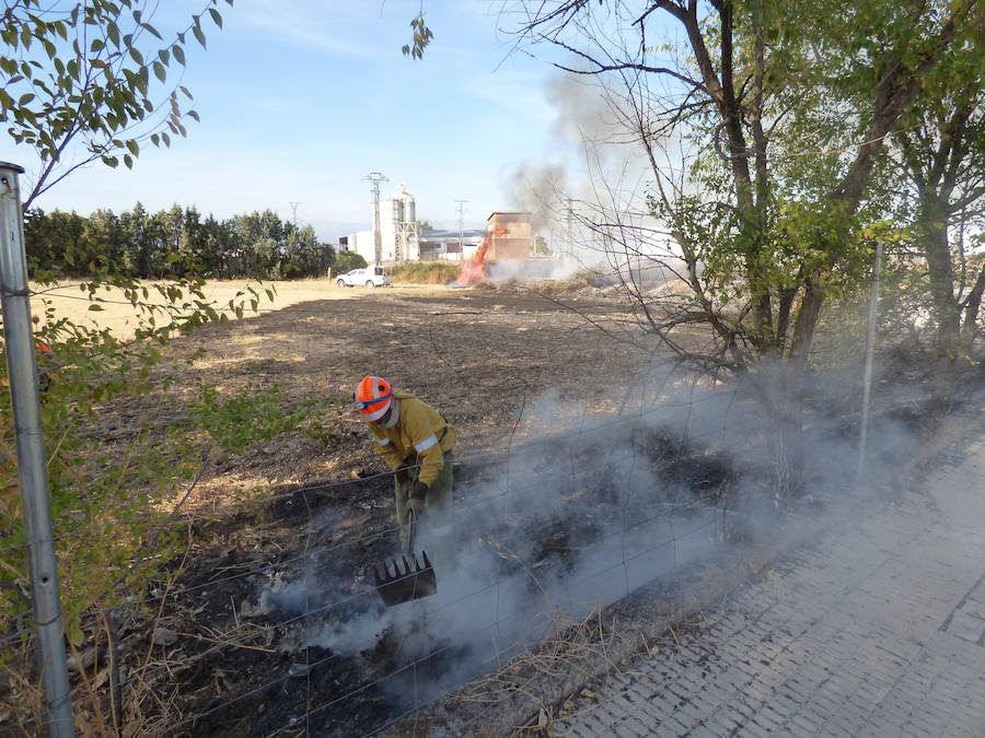 Un incendio obliga a cortar la carretera de Rosalejo