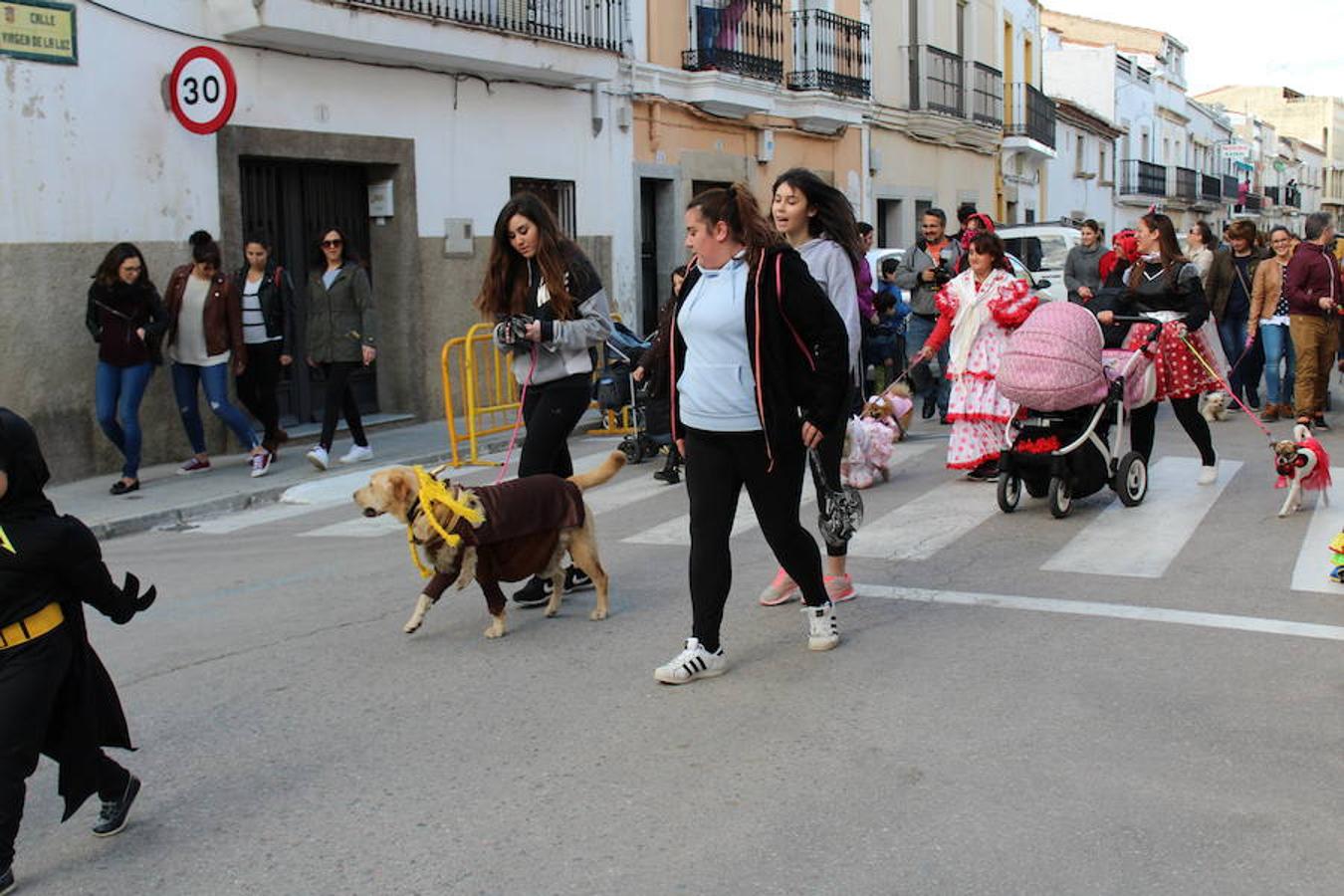 Las mascotas salen a la calle en el primer Carnavanimal