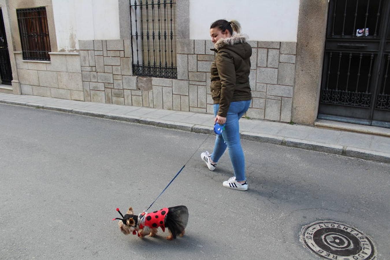 Las mascotas salen a la calle en el primer Carnavanimal