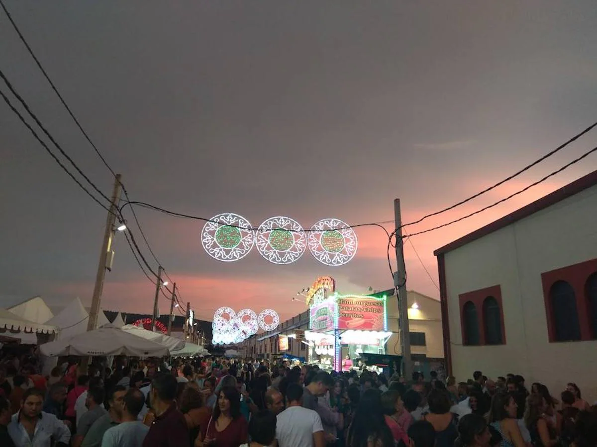 La Feria de San Miguel ´18, en imágenes