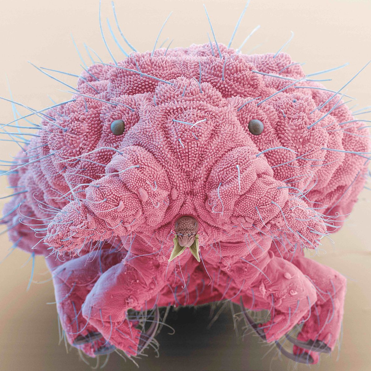 El asombroso universo bajo nuestros pies